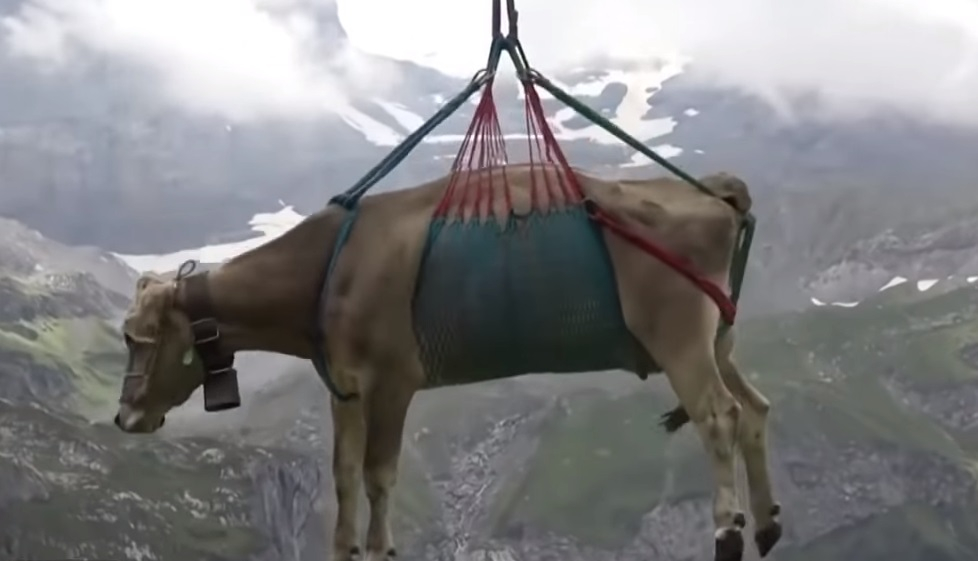 У нас няма хеликоптер за пострадали планинари, а в Швейцария... ВИДЕО