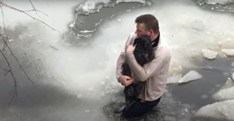 Мъж рискува живота си, за да спаси този на куче в беда ВИДЕО