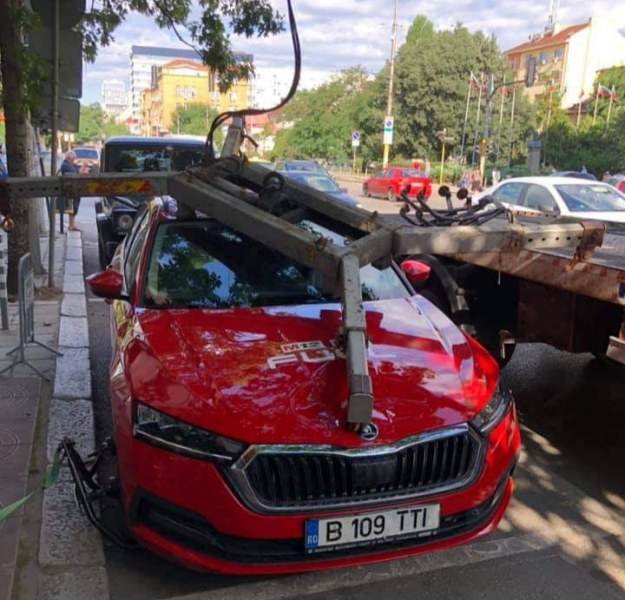  Такъв ужас с паяк в центъра на София не се бе случвал СНИМКИ