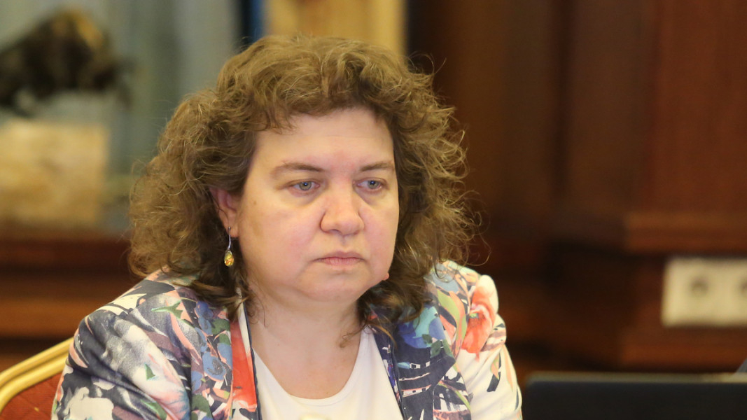 Доц. Киселова разкри кой ще се окаже големият шаран след изборите