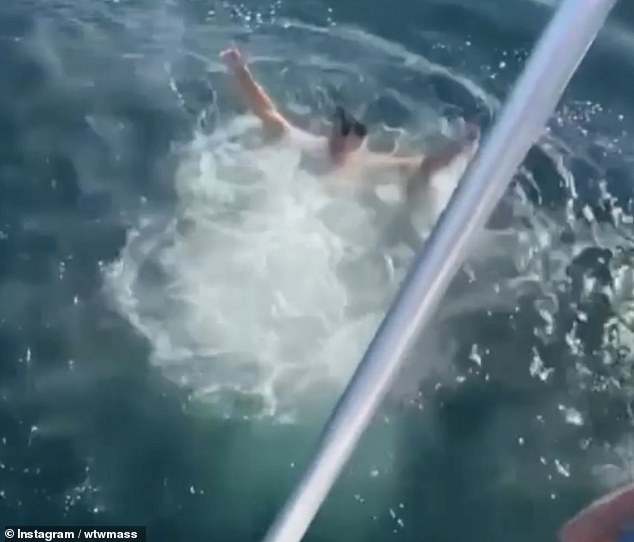 ВИДЕО с мъж и акула стана хит в Instagram