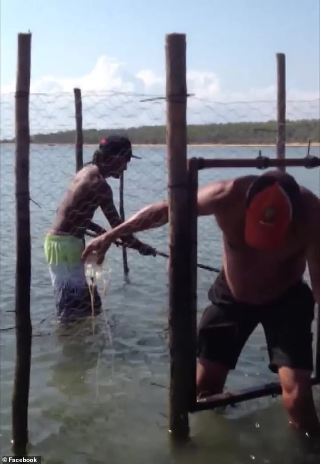 Мъж хвана с голи ръце най-опасната медуза в света ВИДЕО