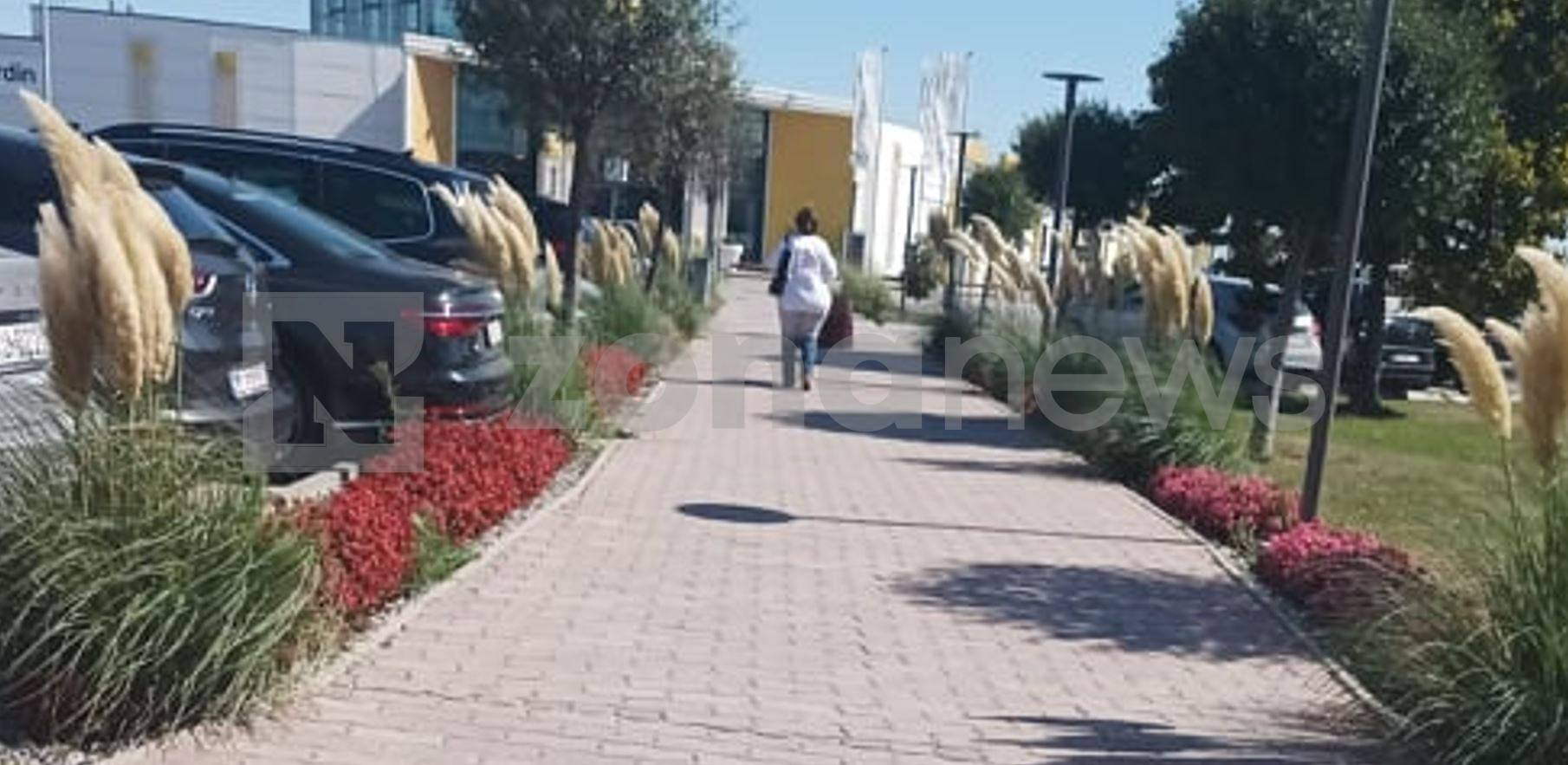 Другарката "500к" Татяна Дончева хвърля пачки във Виена като дубайски шейх СНИМКИ