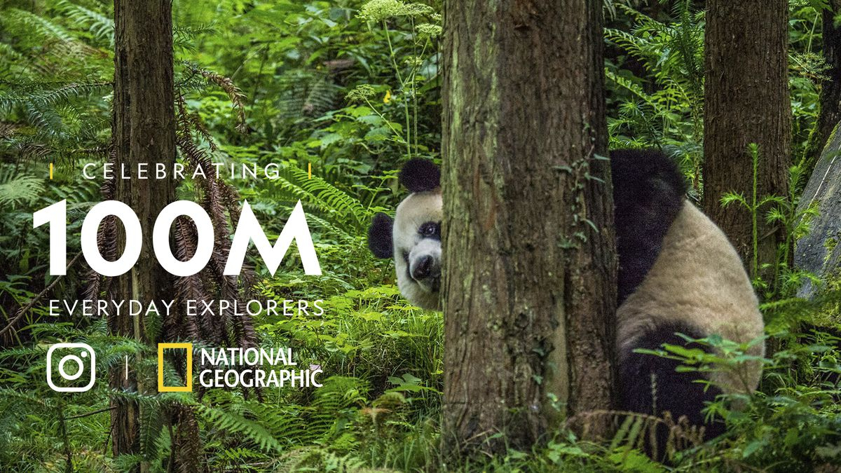 National Geographic On Demand вече е в EON 