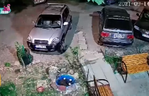 Виждали ли сте този крадец? Извърши нагла кражба в София ВИДЕО