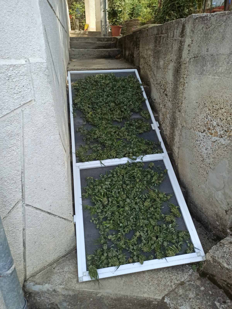 Ченгета тръгнаха на обход и ето на какво се натъкнаха край Арбанаси
