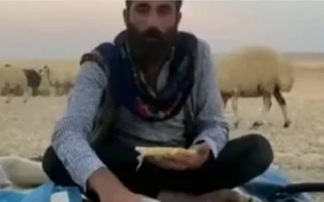 Нахална овца подлуди овчаря си ВИДЕО
