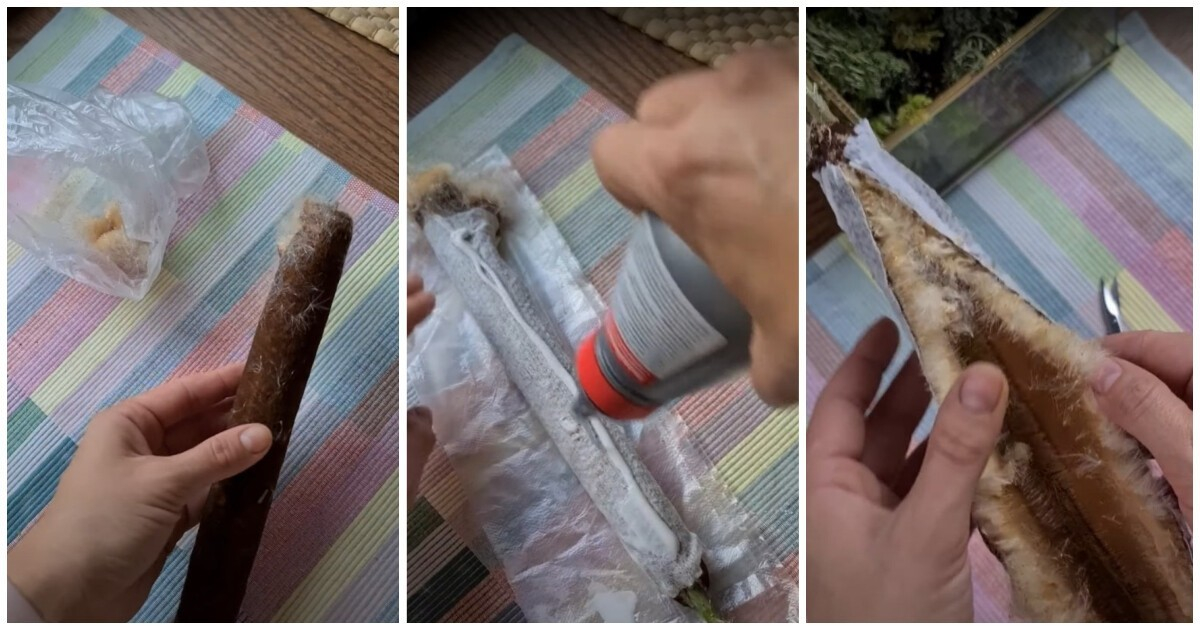 Една от най-неочакваните употреби на папура ВИДЕО