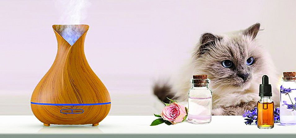 Внимание! Лавандулата, може да убие домашната ви котка