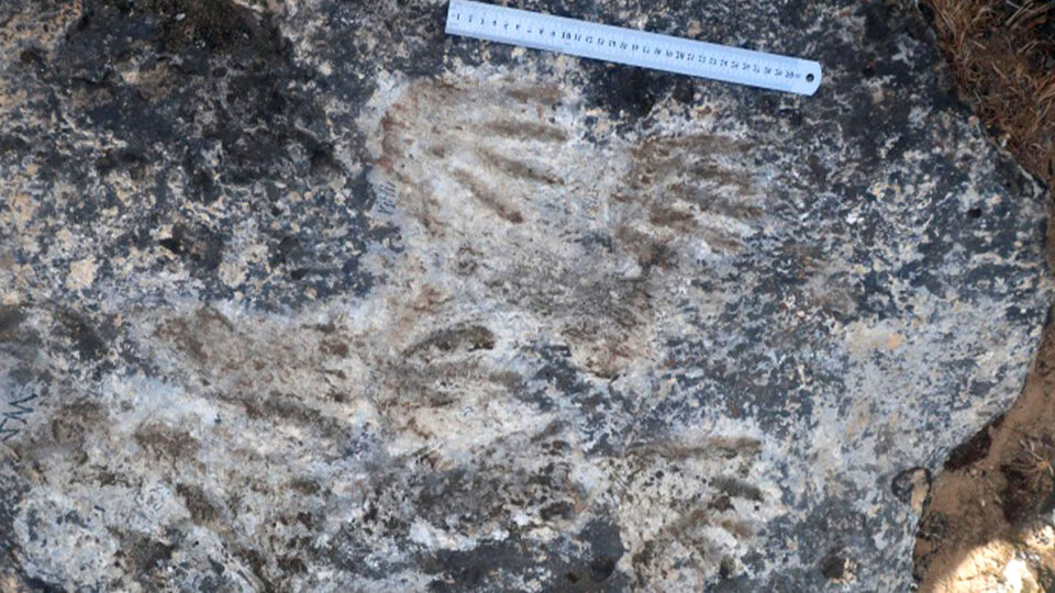 Археологическо откритие в Тибет пренаписва историята на човечеството