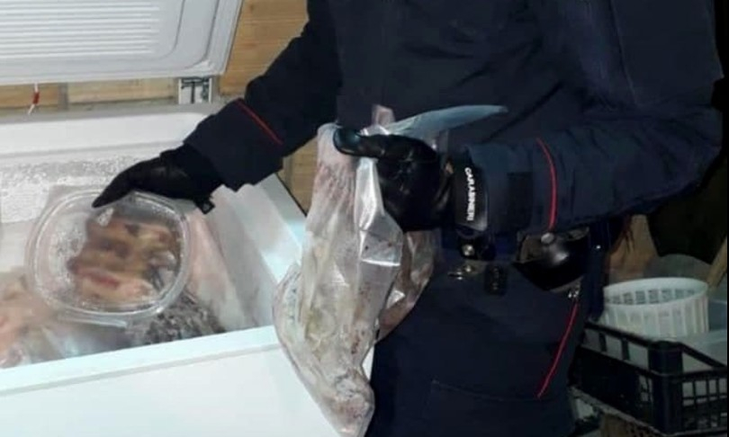 Гнусно! Няма да повярвате с какво се хранят босовете на италианската мафия  СНИМКИ