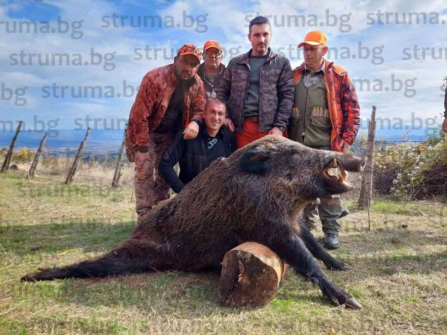 Копривленските авджии счупиха каръка със страшен звяр СНИМКИ 