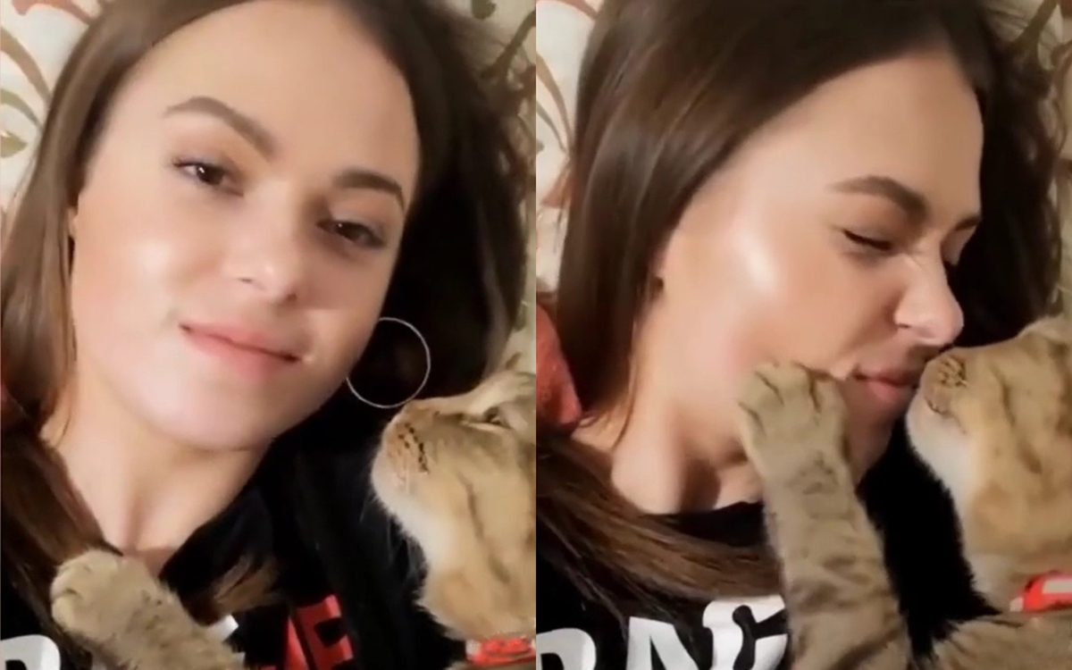 Нежността между коте и собственичката му, умили мрежата ВИДЕО