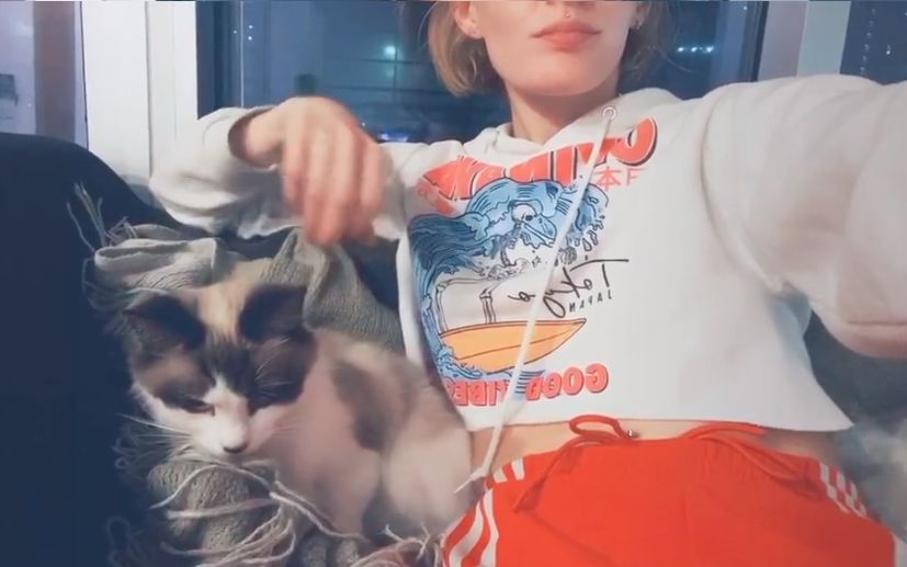 На котарак му писна от TikTok и реши да убие стопанката си ВИДЕО