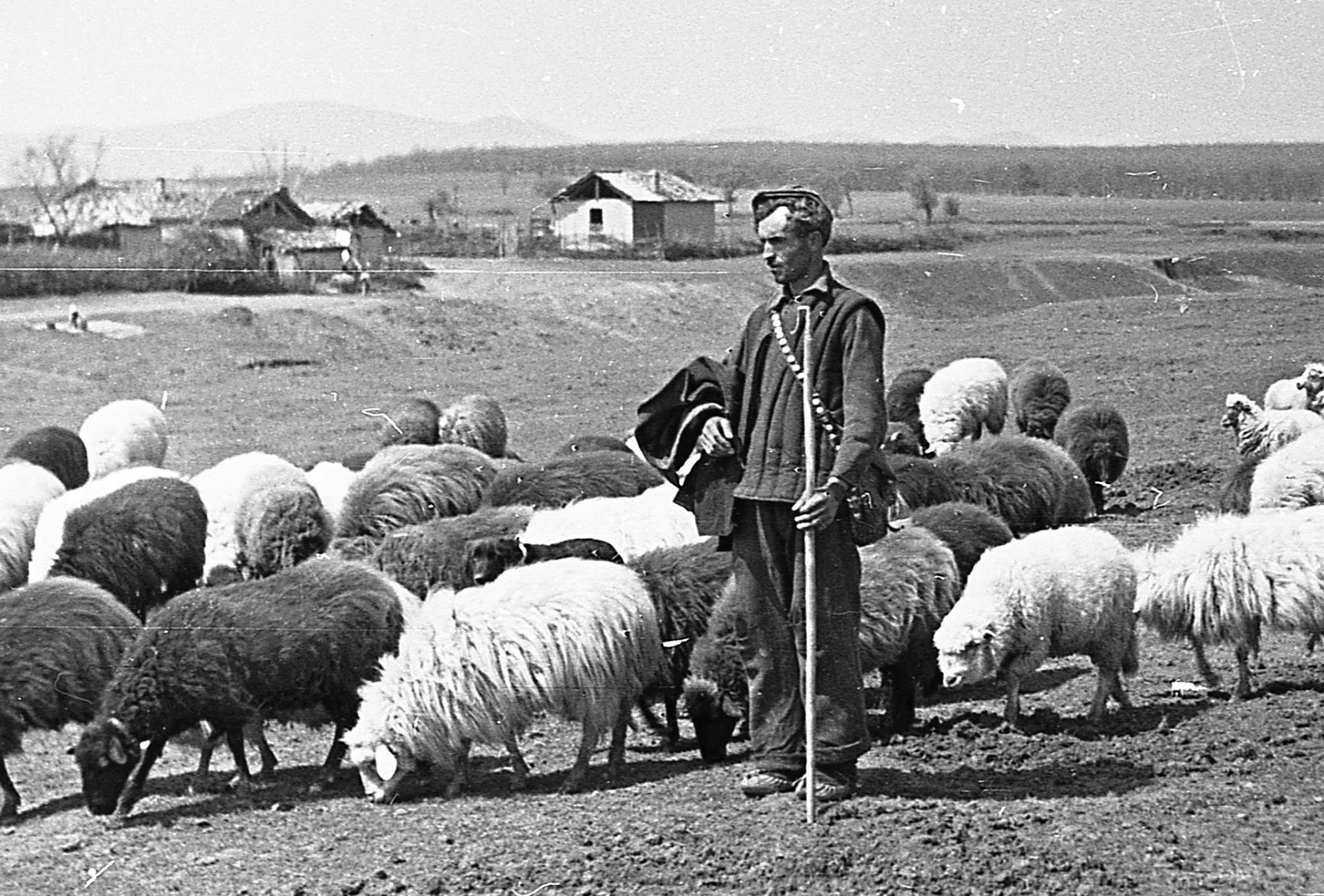 Людмила Филипова разплака България с тази трагична случка от изборите през лятото