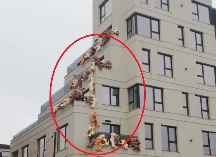 Това ли е причината десетки мечки да нападнат сграда в София  СНИМКИ