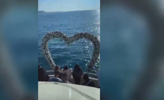 Красиво ВИДЕО от екскурзията на туристите от РСМ, часове преди да се качат в автобуса-ковчег 