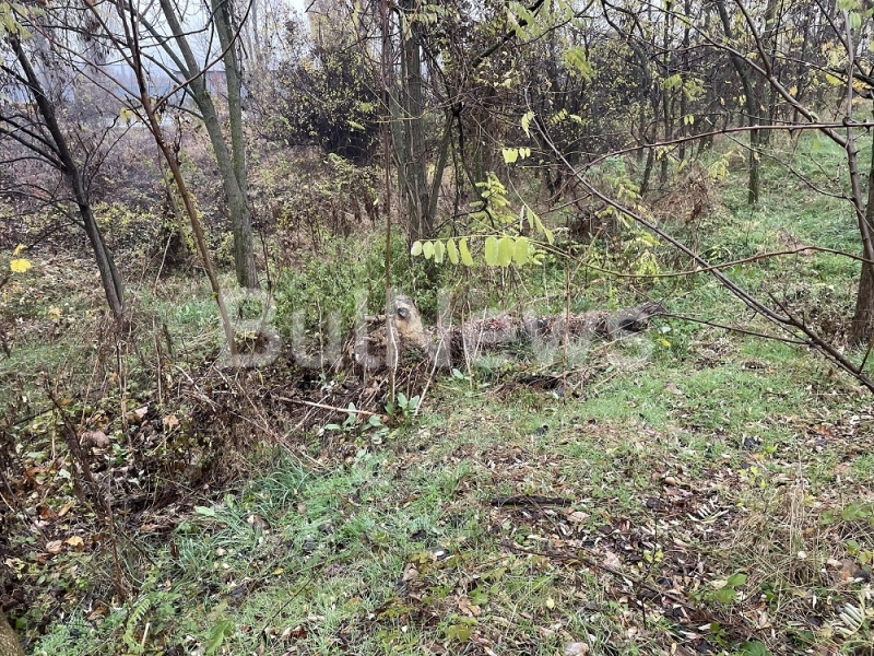 Ужасяващи КАДРИ 18+ на намерения обезглавен труп във Враца, полицията с първи версии