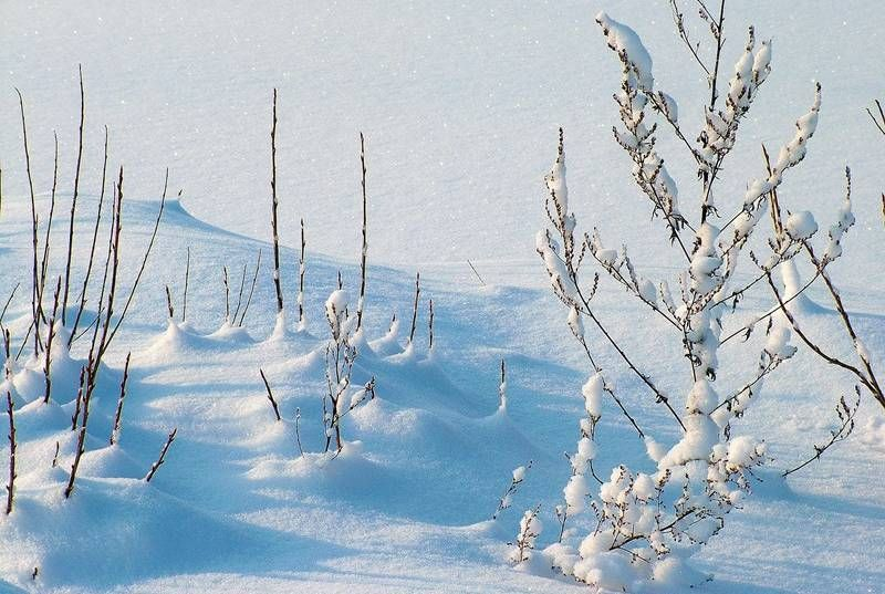 НИМХ обяви пълната си прогноза за декември, ще има ли снежни Коледа и Нова година!