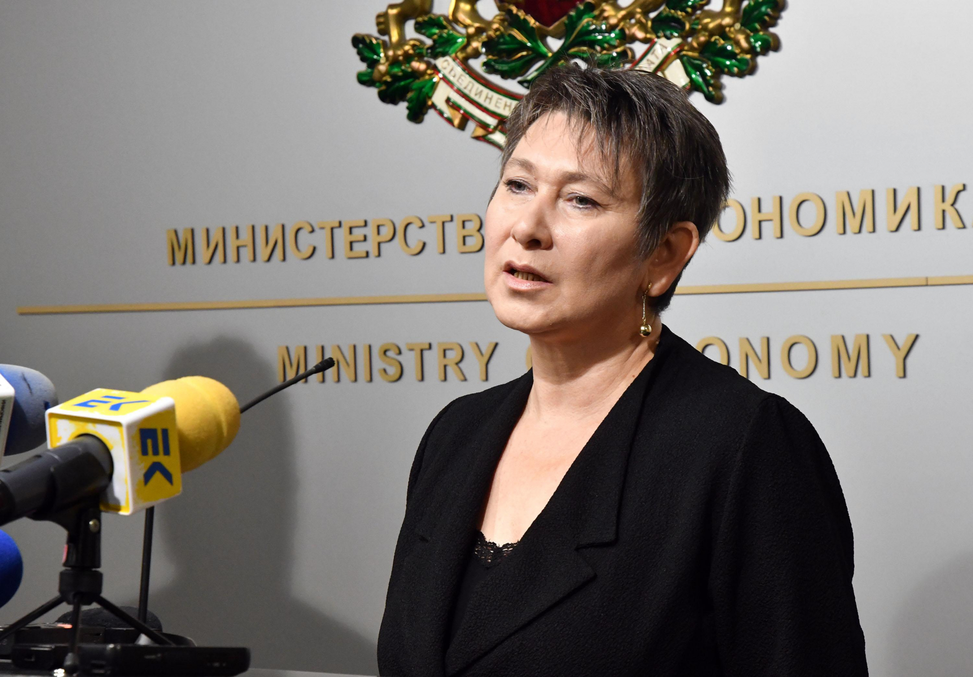 Бивша служебна министърка е уличена в плагиатство
