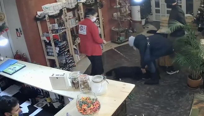 Абсурден случай в София 