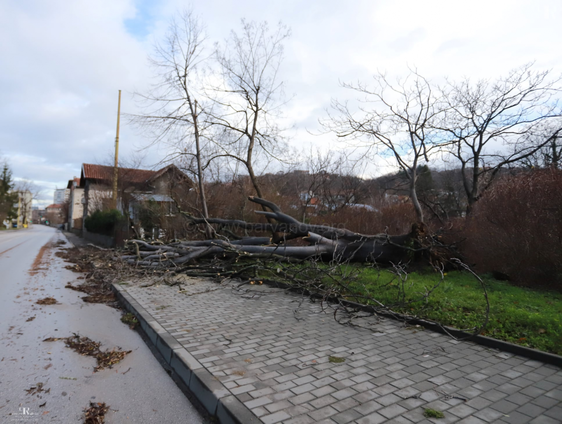Ураганен вятър помля Габрово СНИМКИ