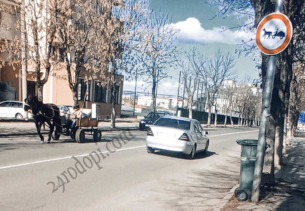 Момчилградчанин погази строга забрана на общината и сега си скубе косите СНИМКА 