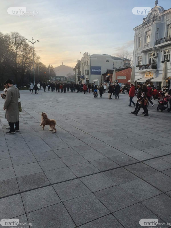 Не е за вярване какво се случи на столичната "Витошка" и в Пловдив навръх Коледа СНИМКИ 