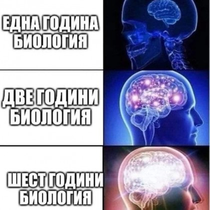 Биоложка с плитки и каска от антиковид протеста в София взриви мрежата ВИДЕО 