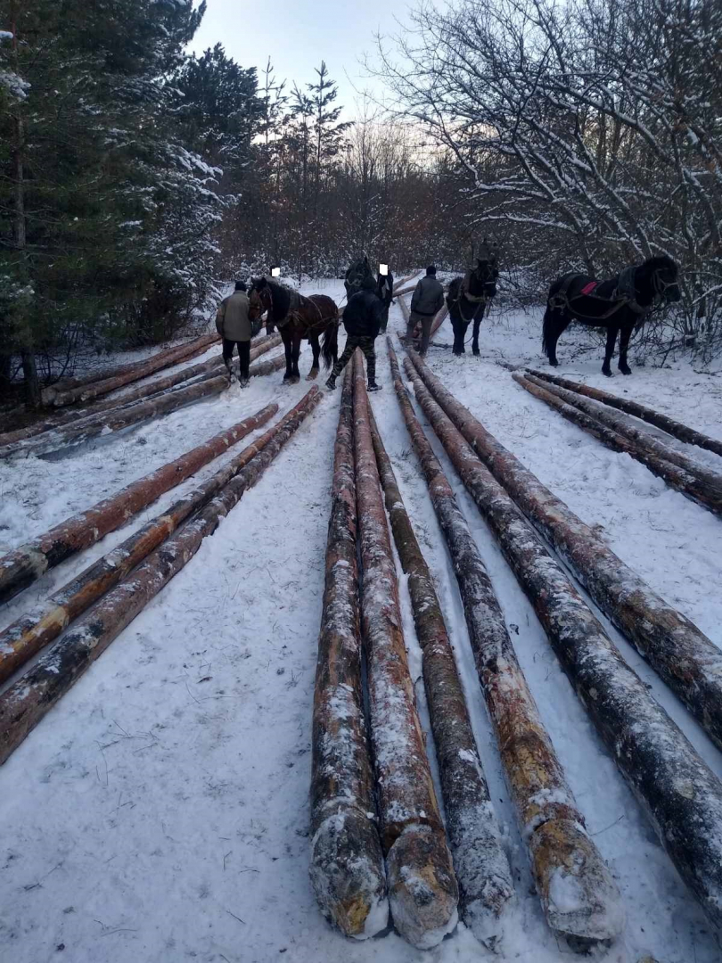 Масови арести в Ракитово, ето защо СНИМКИ