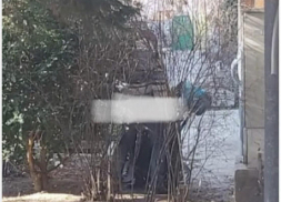 Мъж облада жена посред бял ден и пред очите на дете в Благоевград СНИМКИ 18+