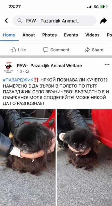 Най-верният другар на Денди потъна вдън земя след зверския побой 
