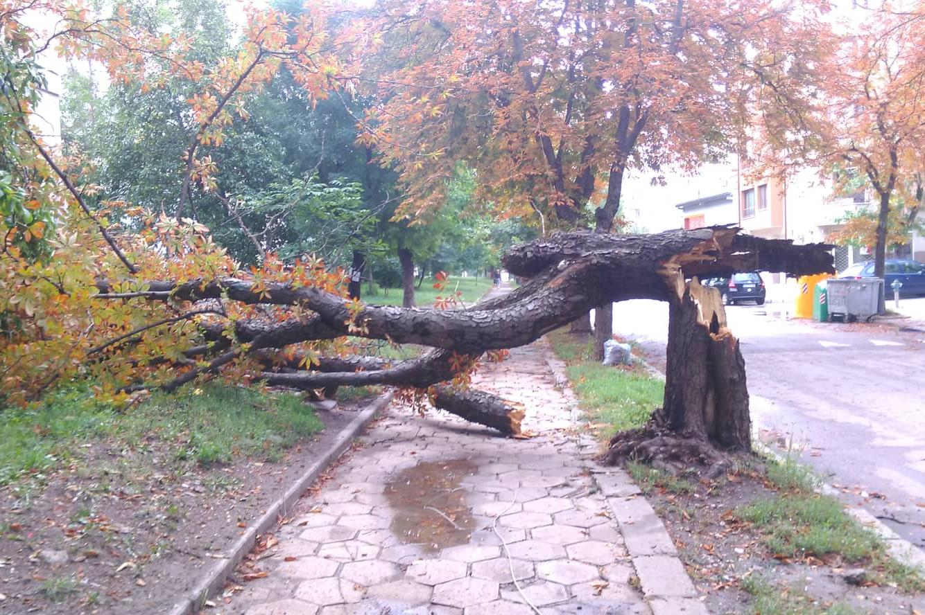 София е като бойно поле след среднощния ураган ВИДЕО