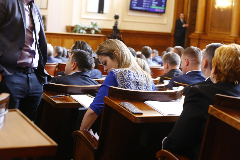 Депутатка от "Възраждане" изуми пленарната зала, с това което направи СНИМКИ