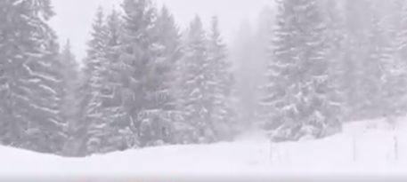 Половин метър сняг падна в Сърбия ВИДЕО 
