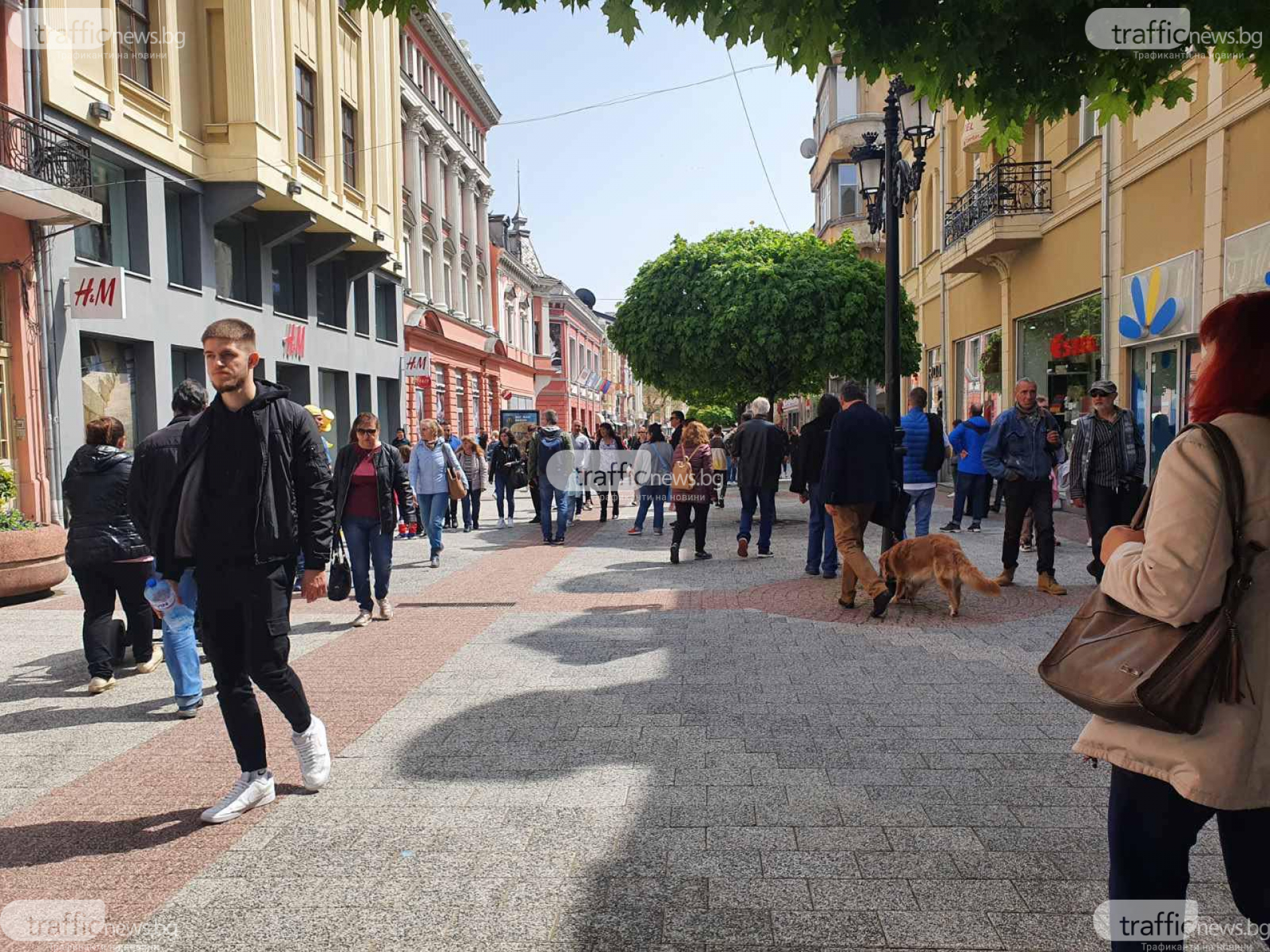 Центърът на Пловдив почерня от народ, опашки от мераклии се извиха пред... СНИМКИ 