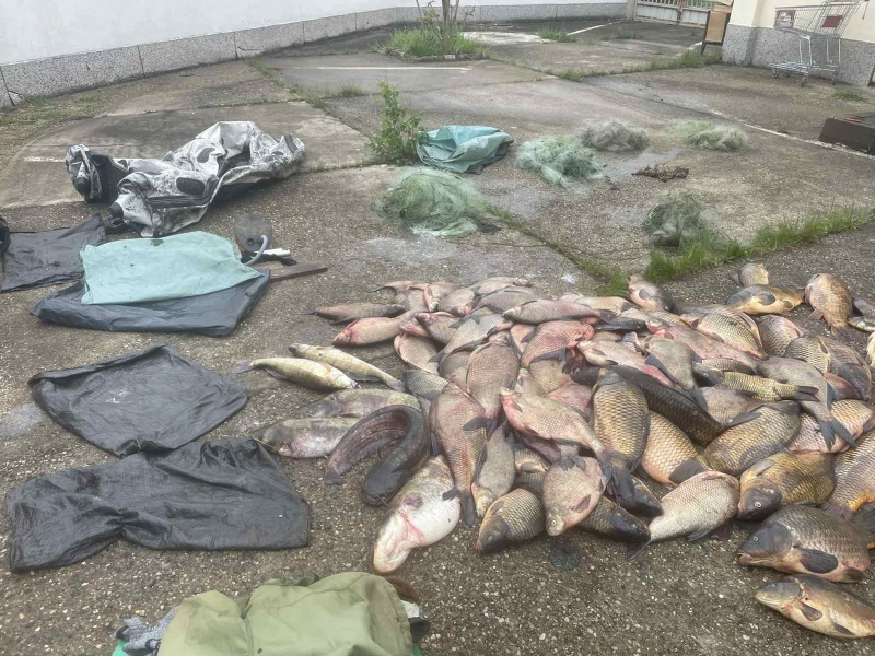 Видрата извади 350 кг риба от язовир, но после... СНИМКИ