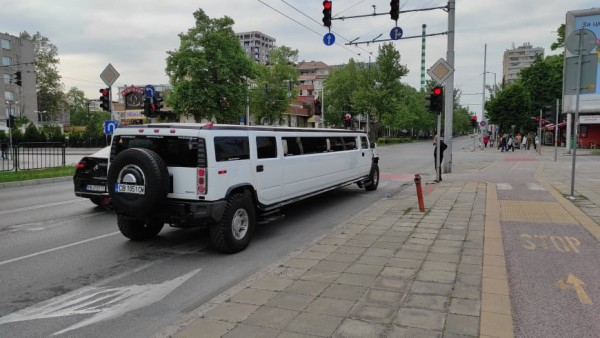 Такъв звяр не се вижда всеки ден в Пловдив СНИМКИ