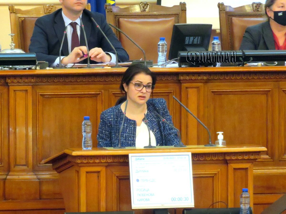 Зам.-шефка на парламента се оказа собственик на пристанище с 11 кораба