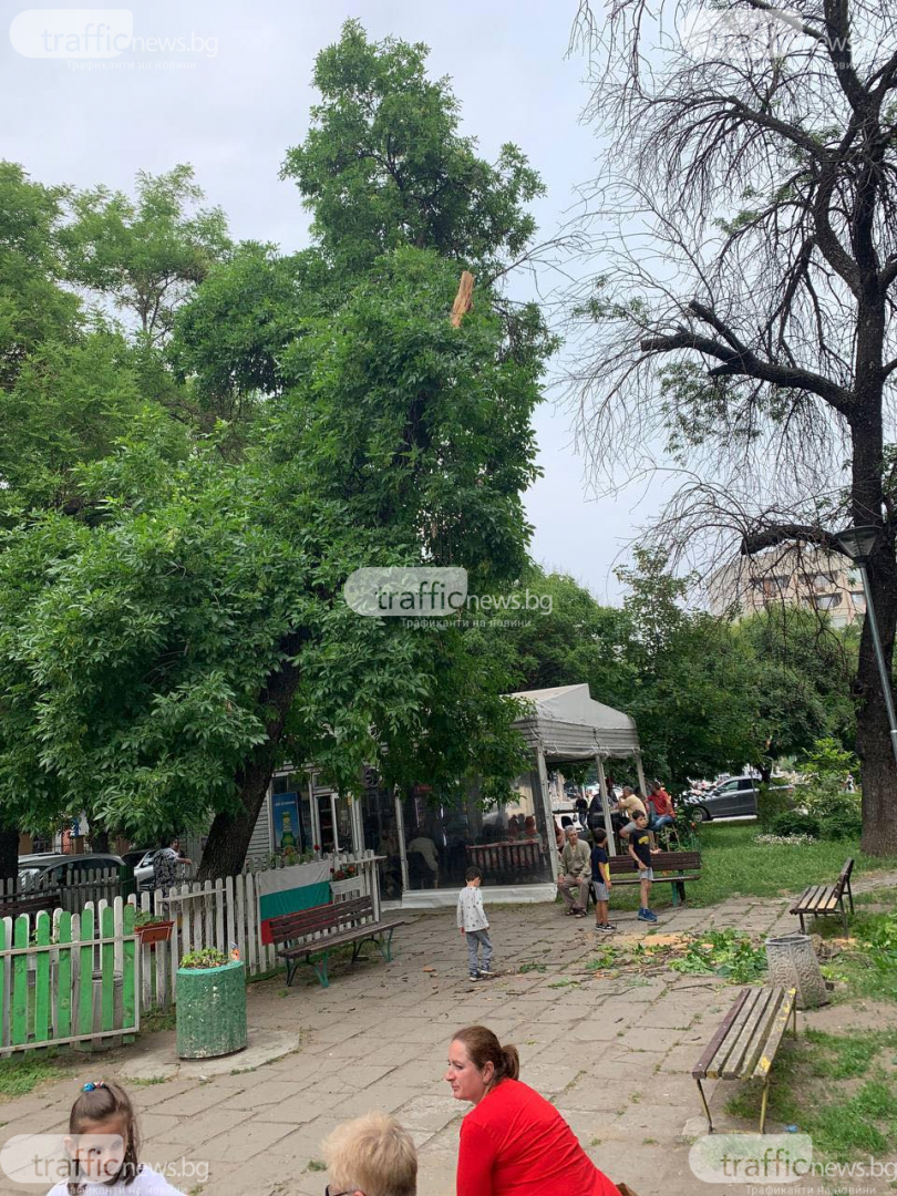 Кошмарен инцидент на метри от детска площадка в Пловдив 