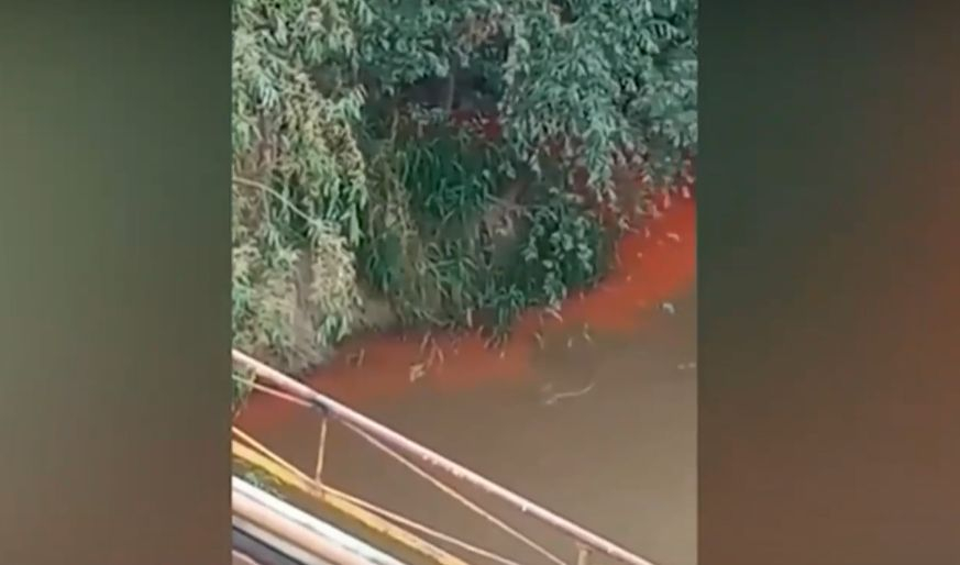 Река русенски Лом смени три цвята за два дена ВИДЕО