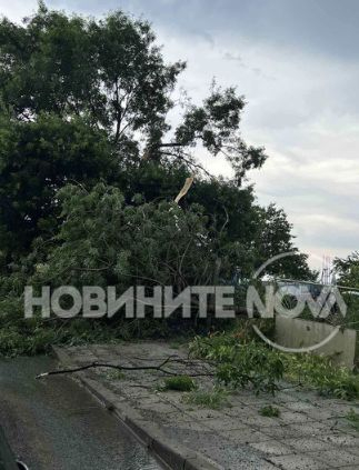 Ето какви поразии остави след себе си мощната стихия, ударила Южното Черноморие ВИДЕО 