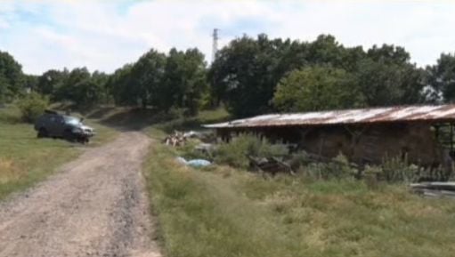 Куче нахапа зверски дете в Хасковско, борят се за живота му! 