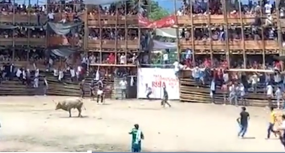 Трибуна на стадион рухна по време на корида, има загинали и ранени ВИДЕО
