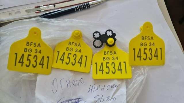 Мащабна операция на ГДБОП и Европейската прокуратура, има задържани СНИМКИ