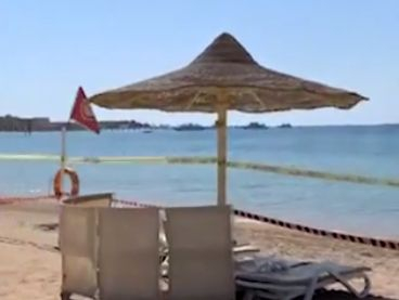 Какво се случва? Акула разкъса още една туристка в Хургада ВИДЕО 