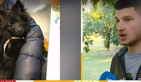 Брутално: Мъж рита до смърт домашно куче в София ВИДЕО