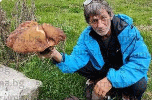 Луди пари правят на ден в Сандански само след разходка в гората, ето как