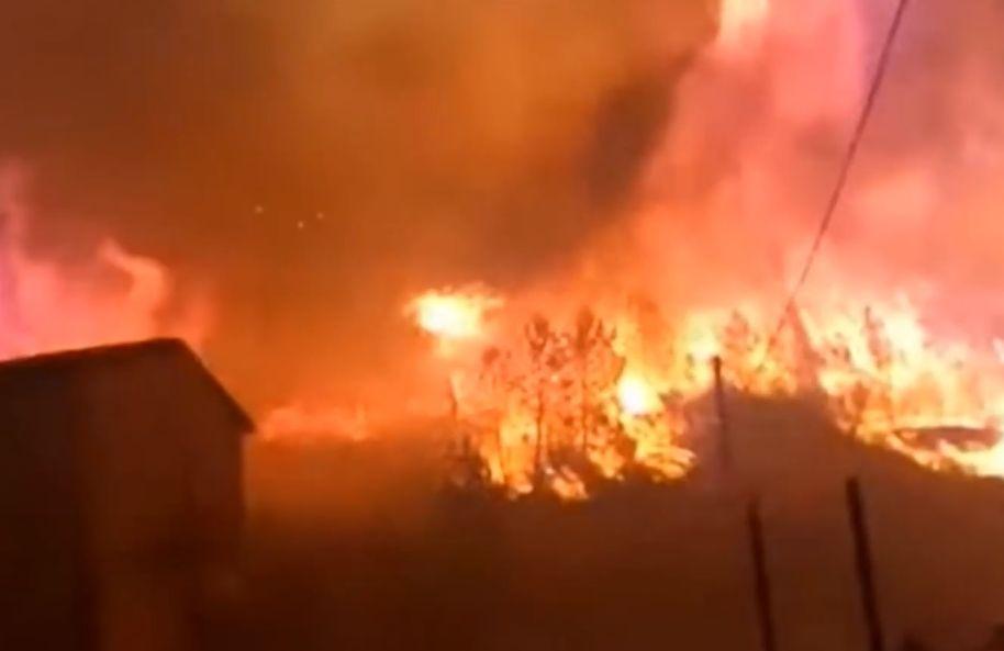 Без война: 280 души загинаха в Испания и Португалия от жегите ВИДЕО
