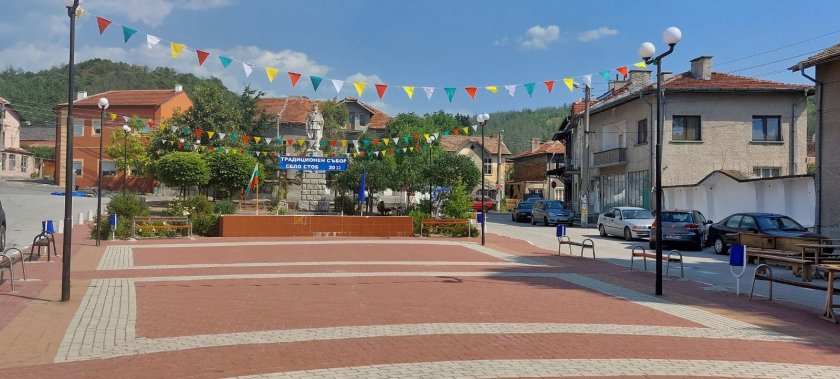 Дива паника в кюстендилско село заради избягал лъв